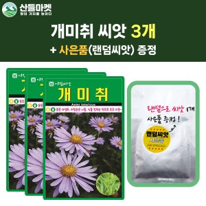 산들마켓 개미취 씨앗 100립 개미취 꽃씨 3개+랜덤 씨앗 1개 증정