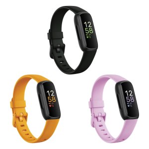 핏빗 인스파이어3 Fitbit