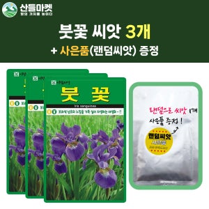 산들마켓 붓꽃 씨앗 20립 보라색 붓꽃씨 야생화 3개+랜덤 씨앗 1개