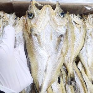 편노가리 소사이즈 1kg 반건조 생선 대용량 마른안주 혼술
