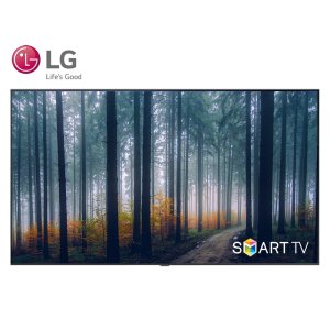 LG 165cm QNED UHD 4K 스마트 TV/ 65QNED85 수도권스탠드설치