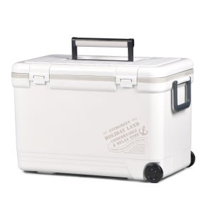 차량용 미니아이스박스 소형 캠핑아이스박스 대형 쿨러 신와 33L