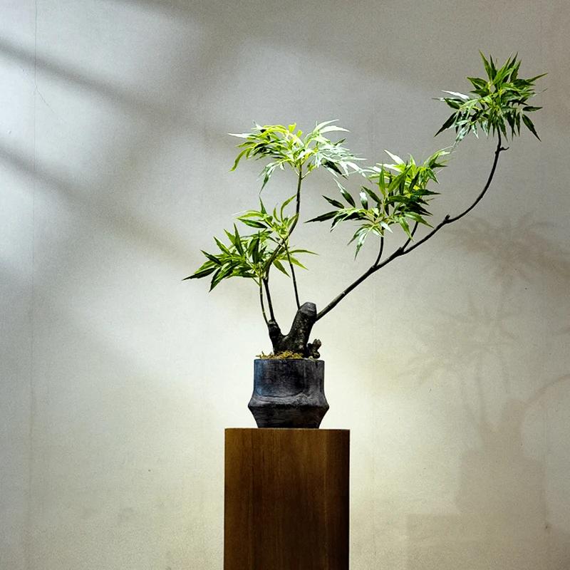 중국 찻방 장식 선 입구 작은 분재 1. 60cm