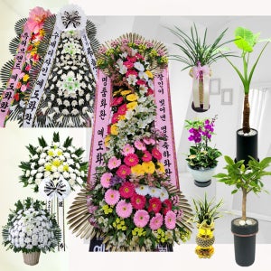 마곡 결혼식 승진 축하 3단 4단 화환 사무실 개업 화분 근조 화환 부고 조화 전국 꽃배달