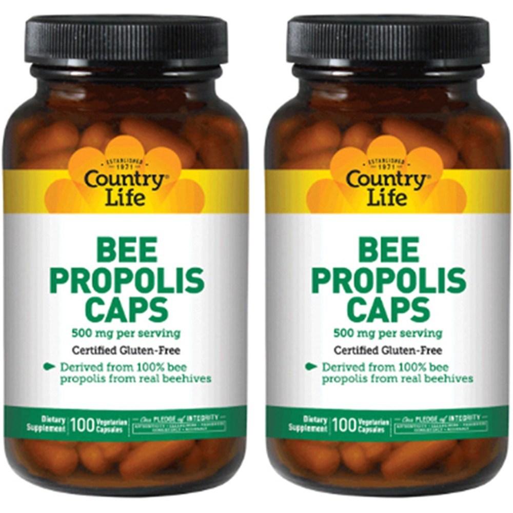 <b>컨트리라이프 프로폴리스</b> 비 500mg 100정 2개