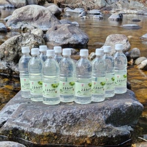 지리산고로쇠 냉동 직접채취 산지직송 고로쇠물 수액 효능 500ml 10개