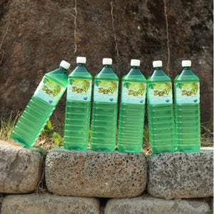 지리산고로쇠 직접채취 산지직송 고로쇠물 수액 효능 1.5L 6개