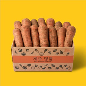 더모닝제주 흙당근 구좌 제주 햇당근 산지직송 2kg 3kg 5kg 10kg 중 상 특 왕