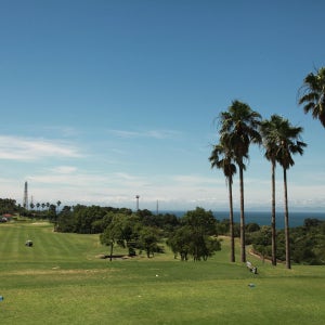 [오사카 골프 투어] 미사키 컨트리클럽 18홀 라운딩 (왕복 픽업 선택가능)