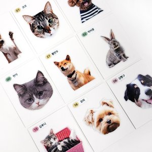 띠부띠부씰 이미지 주문제작 반려동물 강아지 고양이 굿즈 사진 다꾸 폰꾸 스티커 10개 셋트
