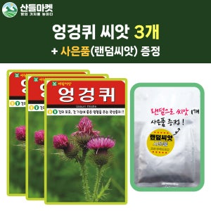 산들마켓 엉겅퀴 씨앗 100립 간 기능에 좋은 영향을 주는 국화과 3개+랜덤 씨앗 1개 증정