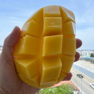 태국 골드망고 항공직송 신선한 수입과일 망고2kg 6과