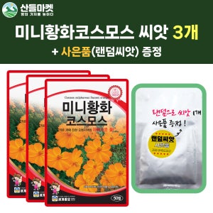 산들마켓 미니황화코스모스 씨앗 50립 작은 황색 코스모스 꽃씨 야생화 3개+랜덤 씨앗 1개 증정