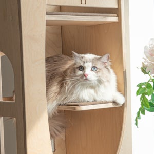 [ 프리미엄 켓타워! 냥이캐슬 기본형 ] 천국의 계단 틈새공간 활용 코너 모서리 창문 특화형 냥이 아파트 스트래쳐 해먹