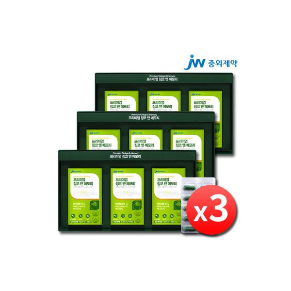 프리미엄 징코앤메모리 플러스 뇌 은행잎추출물 9개월 <b>중외제약</b> 징코빌로바 플라보놀배당체 기억력 <b>혈행개선</b>