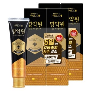 죽염 명약원 골든프로폴리스 잇몸 치약 플러스 120g x 4개