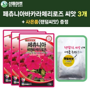 산들마켓 페츄니아 바카라 체리로즈 씨앗 10립 페츄니아 꽃씨 3개+랜덤 씨앗 1개 증정