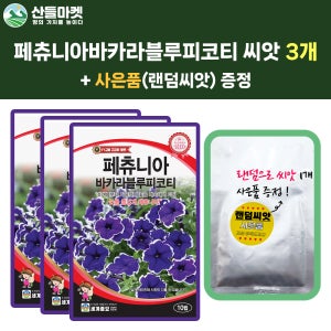 산들마켓 페츄니아 바카라 블루피코티 씨앗 10립 페츄니아 꽃씨 3개+랜덤 씨앗 1개 증정