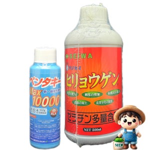 펜타키프맥스 히료겐 광합성 촉진 엽록소 영양제 과수 블루베리 딸기 배 벼 수도작 드론 항공방제 윈터그린