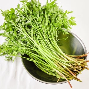 신선한날들 청도 미나리 무농약 200g 1kg 한재 산지직송 당일수확 한단