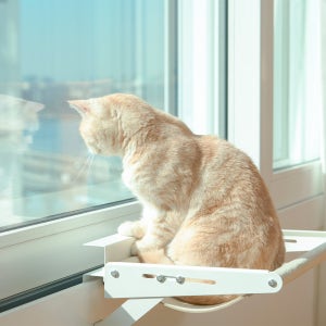 두잇 윈도우 해먹 고양이 창틀해먹 쿠션 침대