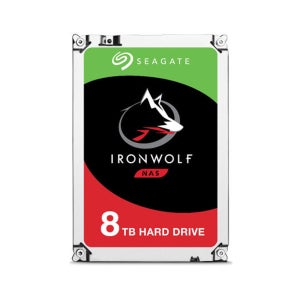 씨게이트 하드디스크 아이언울프 NAS HDD 나스용 하드 256MB, 8TB