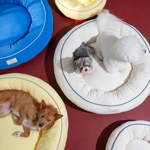 강아지 방석 쿠션 퍼피갤러리 쿨링 냉감 도넛 원형 S 애견 침대 논슬립 개집 여름 쿨방석