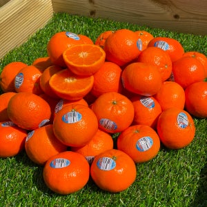 고당도 미국산 큐티스 할로스 만다린 귤 2kg 3kg 5kg