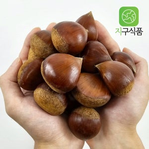 25년수확 공주밤 약단밤 생율밤 칼집 1KG 햇밤 알밤 생밤 제수용 겨울간식 군밤 맛밤