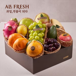 프리미엄 과일선물세트 13종 시그니처 1호(샤인머스켓, 망고 외) 4.9kg 이상