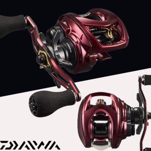 다이와 25 아드미라 100P 쭈꾸미 갑오징어 문어 광어 외수질 초경량 베이트릴 5점대