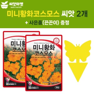 세계종묘 미니황화코스모스 씨앗 50립 작은 황색 코스모스 꽃씨 야생화 종자 2개+끈끈이 1p