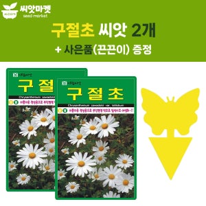 아람 구절초 씨앗 1000립 구절초 꽃씨 야생화 종자 2개+끈끈이 1P