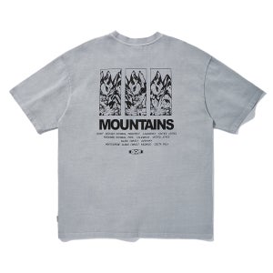 플루크 aqe 마운틴그래픽 피그먼트 반팔 티셔츠 FST745 / 4color