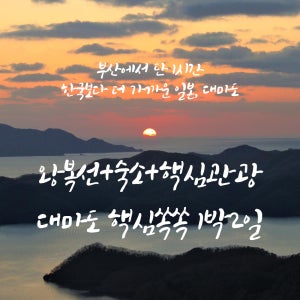 대마도 부산출 씨플라워호 니나호 쓰시마링크호 1박2일 패키지여행