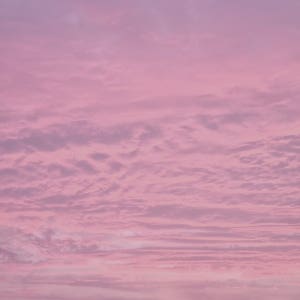 KP 러쉬 빅 타입 1L 디퓨저 향수 비누 캔들 만들기 프래그런스 오일