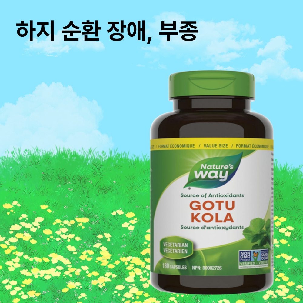 고투콜라 병풀추출물 종아리<b>부종</b> <b>네이쳐스웨이</b> 100캡슐