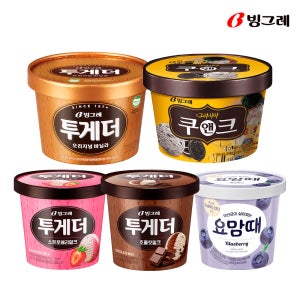 빙그레 BEST 파인트 아이스크림 혼합 구성(5개)