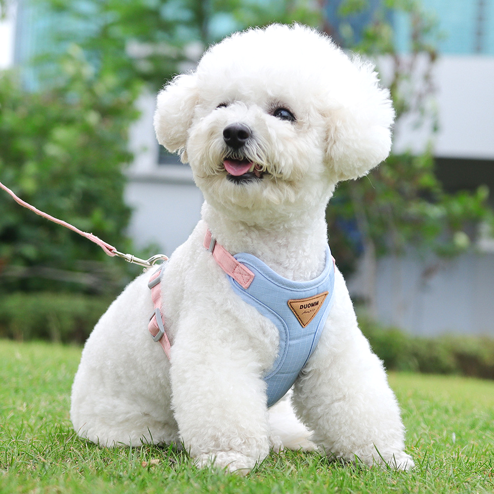 퍼플펫 강아지 하네스 애견 가슴줄 목줄 강아지전용 산책줄 소형견 중형견 하네스 H형