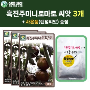 산들마켓 흑진주미니토마토 씨앗 50립 흑색 방울토마토씨 종자 3개+랜덤씨앗1개 증정