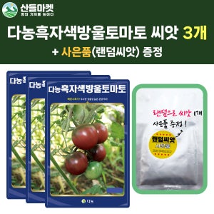 산들마켓 흑자색방울토마토 씨앗 50립 흑자색 방울토마토씨 종자 3개+랜덤씨앗1개 증정