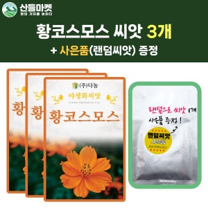 산들마켓 황코스모스 씨앗 1g 황색 코스모스 꽃씨 야생화 종자 3개+랜덤씨앗1개 증정
