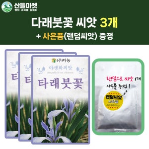 산들마켓 타래붓꽃 씨앗 2g 붓꽃 씨 야생화 종자 3개+랜덤씨앗1개 증정