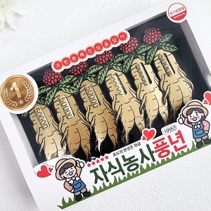 용돈박스 이벤트 환갑 칠순 부채 현금상자 산삼 홍삼 인삼 돈케이크 벼락 DHS 6개