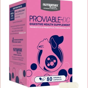 뉴트라맥스 프로바이어블 DC 80캡슐 Proviable