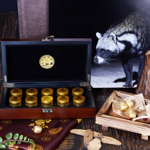 진초영묘사향단100% 영묘사향 120mg 천연원물진품 1박스 오리지널 금박10환 공진단상자