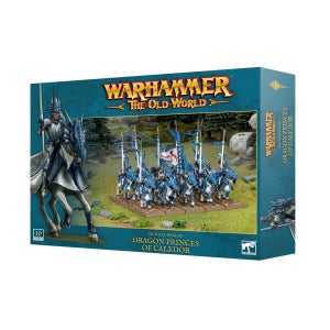 올드월드 하이엘프 HIGH ELF REALMS DRAGON PRINCES O/CALEDOR