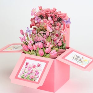 가든 박스 팝업카드 시리즈 3종 - 입체 3D 어버이 스승의날 땡큐 생일카드 파티용품 카드플리즈