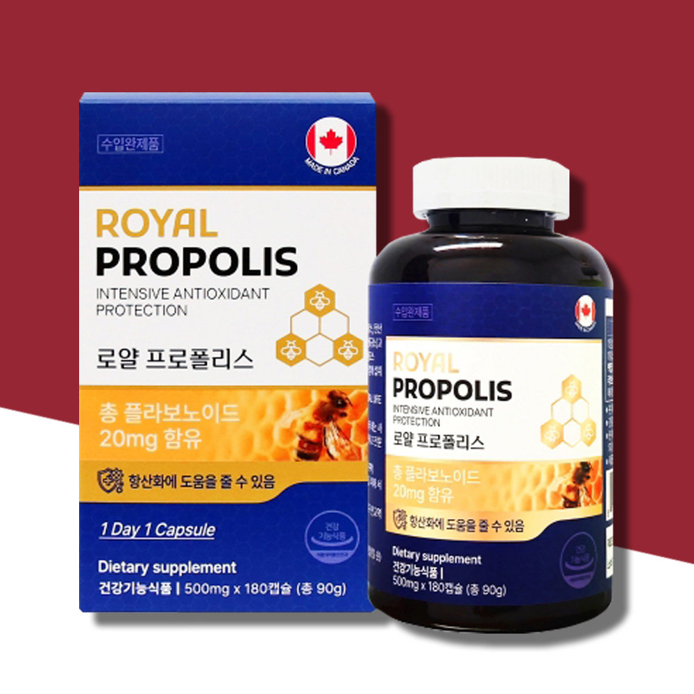 프로폴리스효과 플로폴리스 플라보노이드 영양제 약6개월