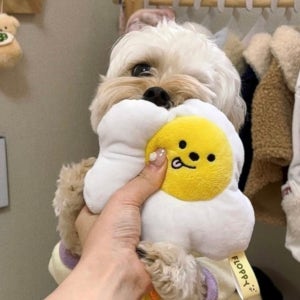 플로피 강아지 장난감 에그터그 - 터그놀이, 삑삑이